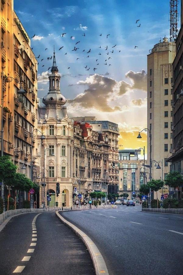 Imob Bibi House Universitate Bukares Bagian luar foto